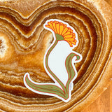 Calendula Sticker
