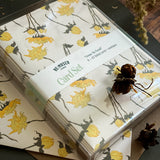 Gone to Seed A2 Greeting Card