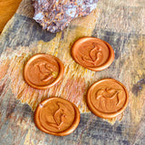 Calendula Wax Seals – Pumpkin