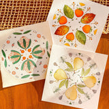 Original Painting - Persimmons 6" x 6"