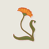 Calendula Sticker