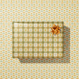 Coneflower Cutie Gift Wrap Sheet-Double Sided