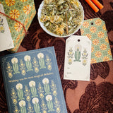 Dandelion Wishes Birthday A2 Greeting Card