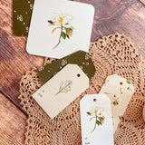 Evergreen Blooms Gift Tags
