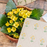The Garden Room Folded Mini Card Set of 8