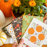 French Marigold A2 Greeting Card