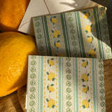 Limoncello Stripes Folded Mini Card Set of 8