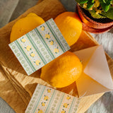 Limoncello Stripes Folded Mini Card Set of 8